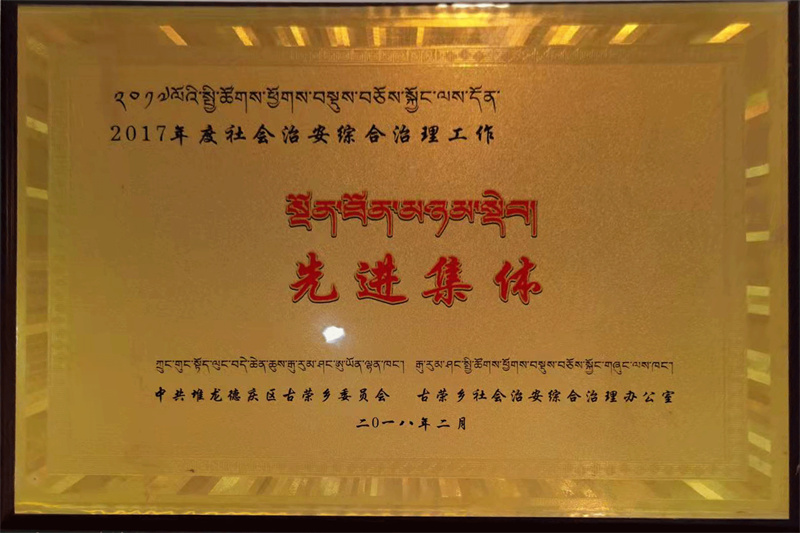 2017年度社会治安综合治理工作
