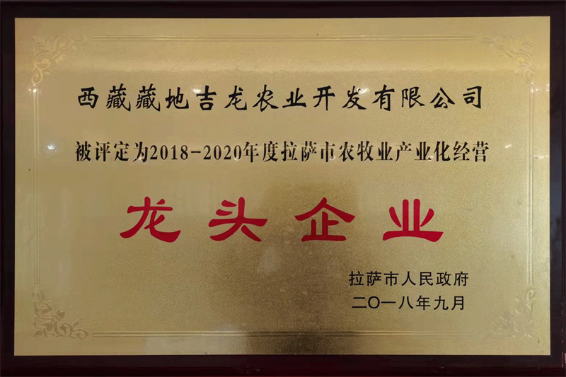 2018-2020市农牧业产业化经营龙头企业