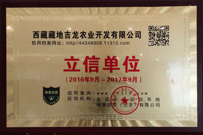 2016-2017立信单位